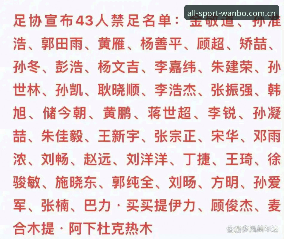 中国足协第三批禁足名单详解：17人终身禁赛48人受罚